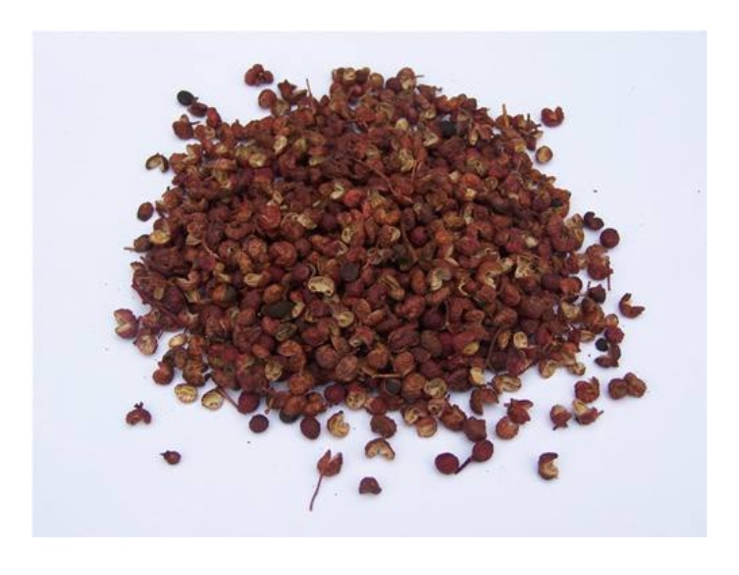 家里有蚂蚁驱除妙招,驱除蚂蚁最有效的方法