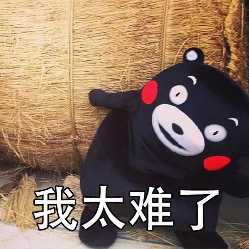 牛心脏疾病,牛心脏上有哪些疾病