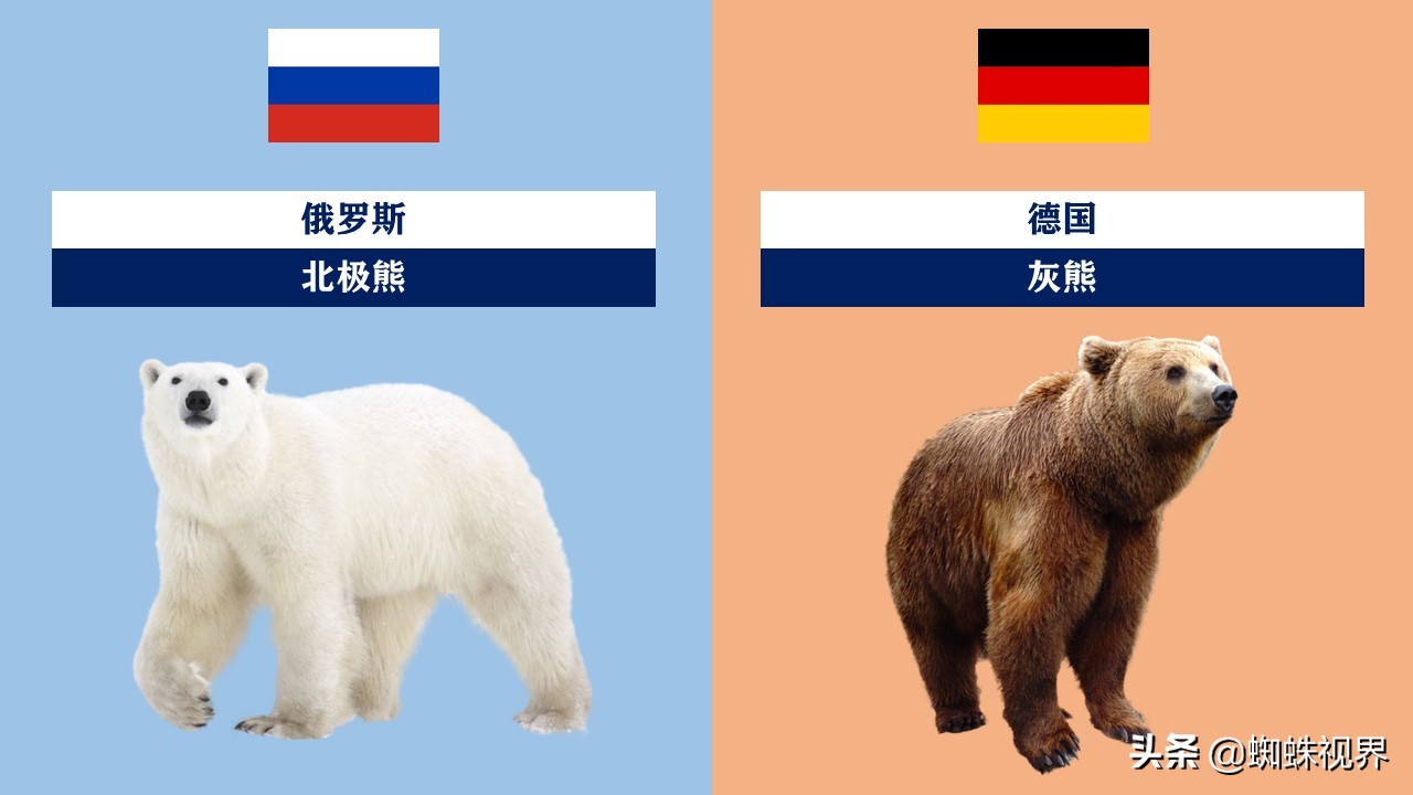 60秒认识中国55项世界遗产,世界各国的代表动物分别是