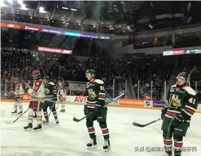 移民加拿大后，第一次在现场看激动人心的冰球比赛是种什么体验？