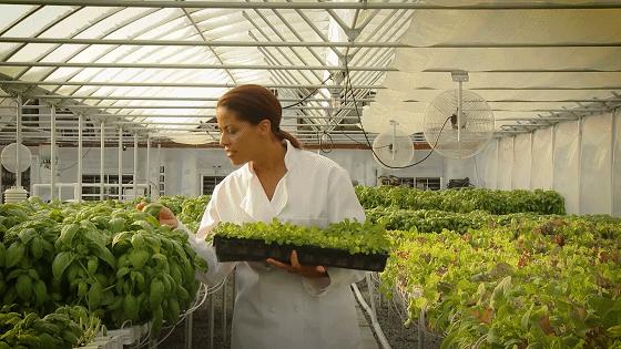 沙特建设沙漠公园,沙特5000亿美元沙漠造新城现状