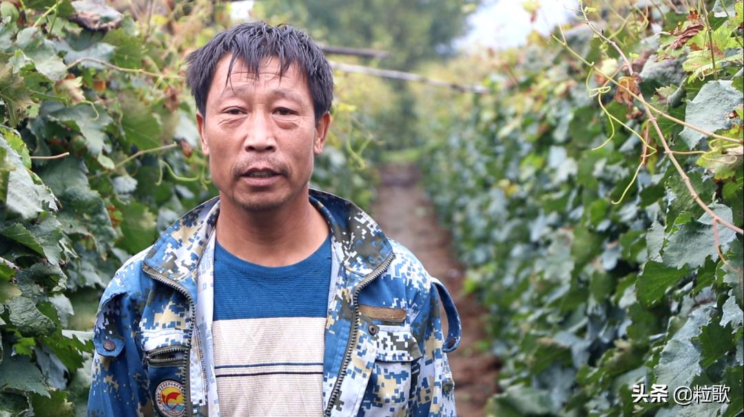 住商中农肥料怎么样,住商肥料助力精品农业