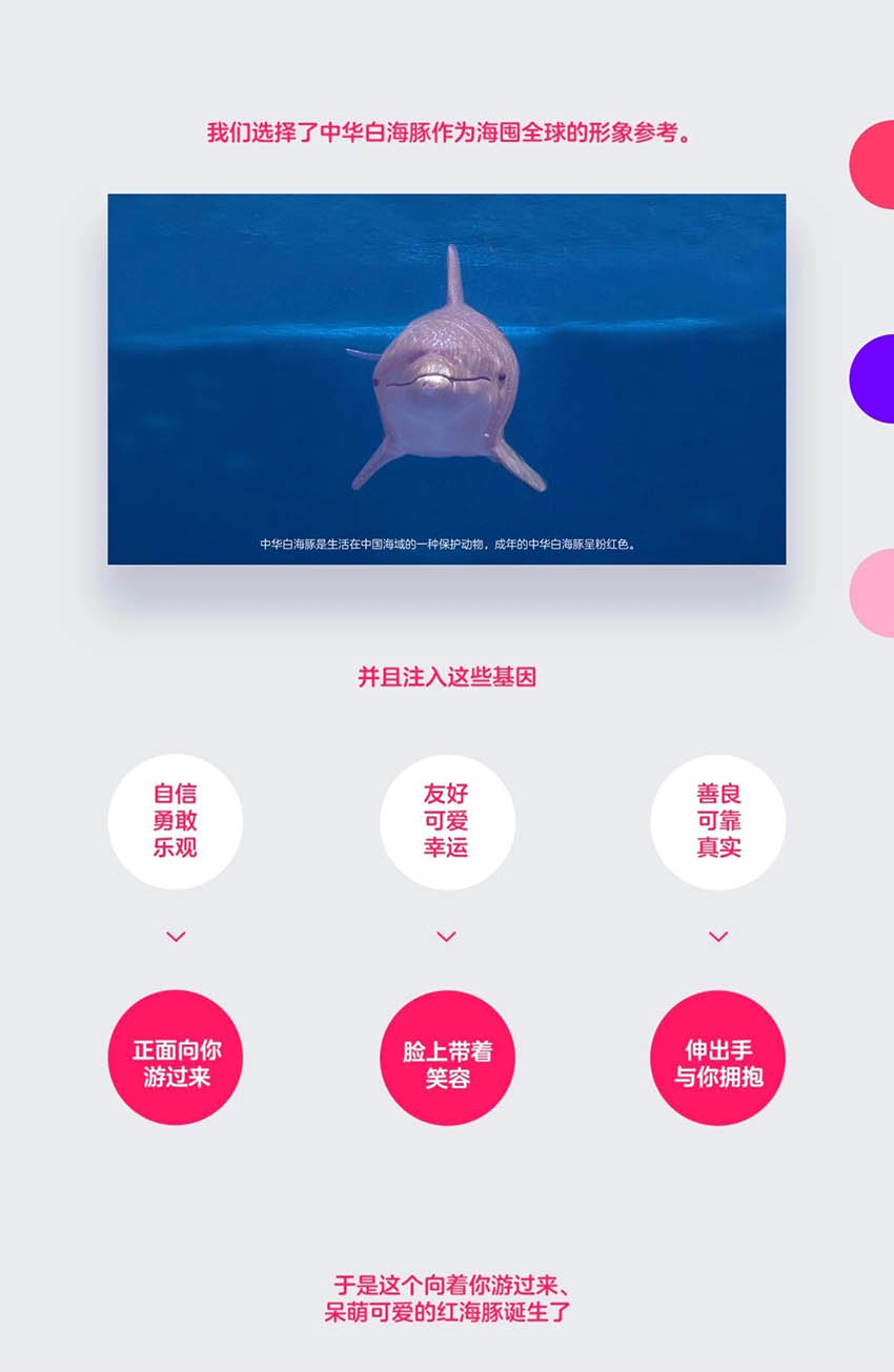 LOGOAPLUS-又一个拿动物做公司的LOGO——海囤全球