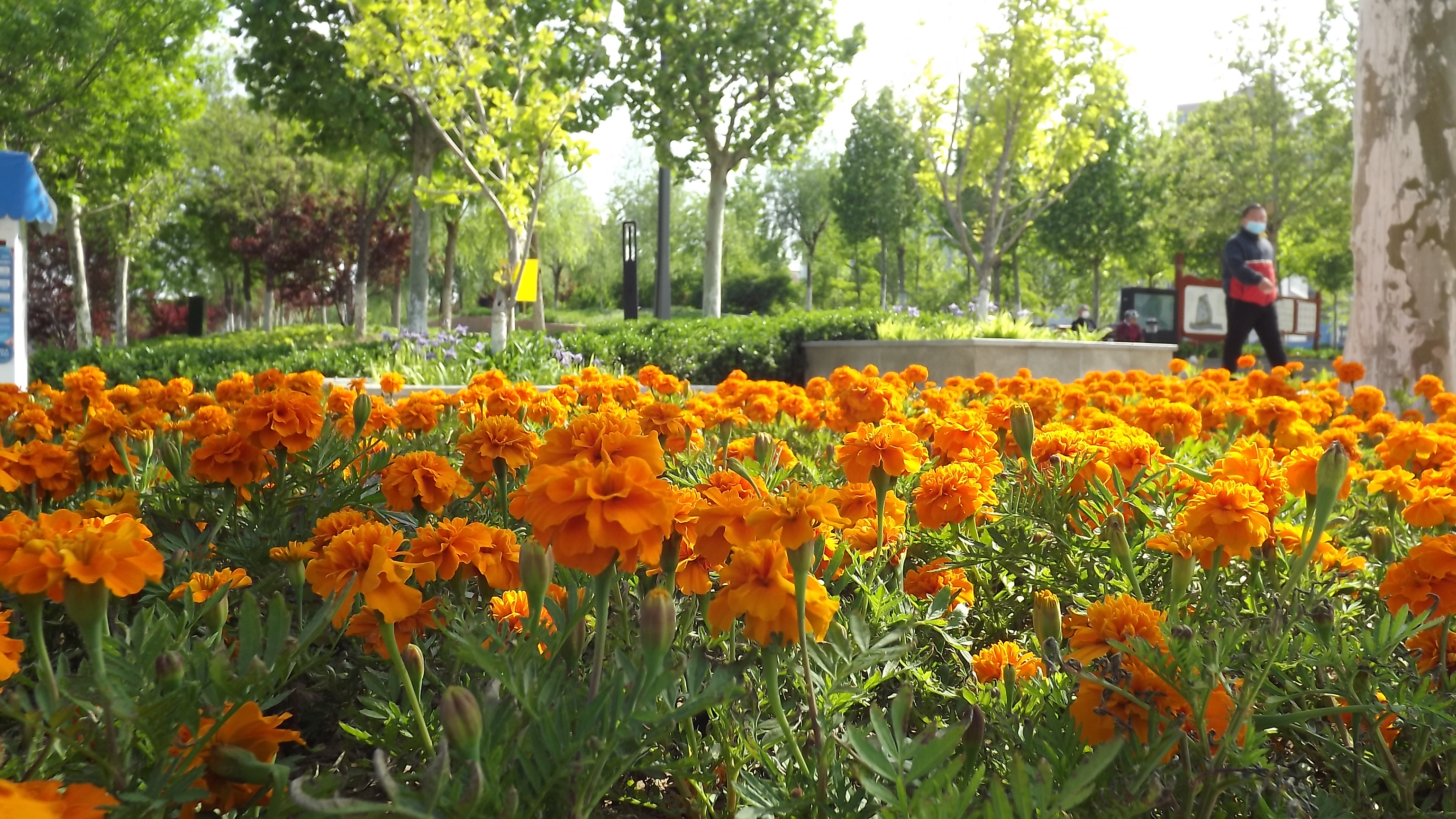 通泰国际公馆2018年房价,亦庄通泰国际公馆户型图