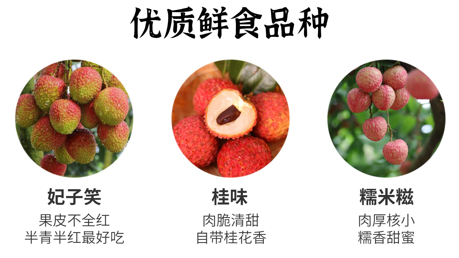 关于荔枝这3个问题你必须知道,10个关于水果的小知识