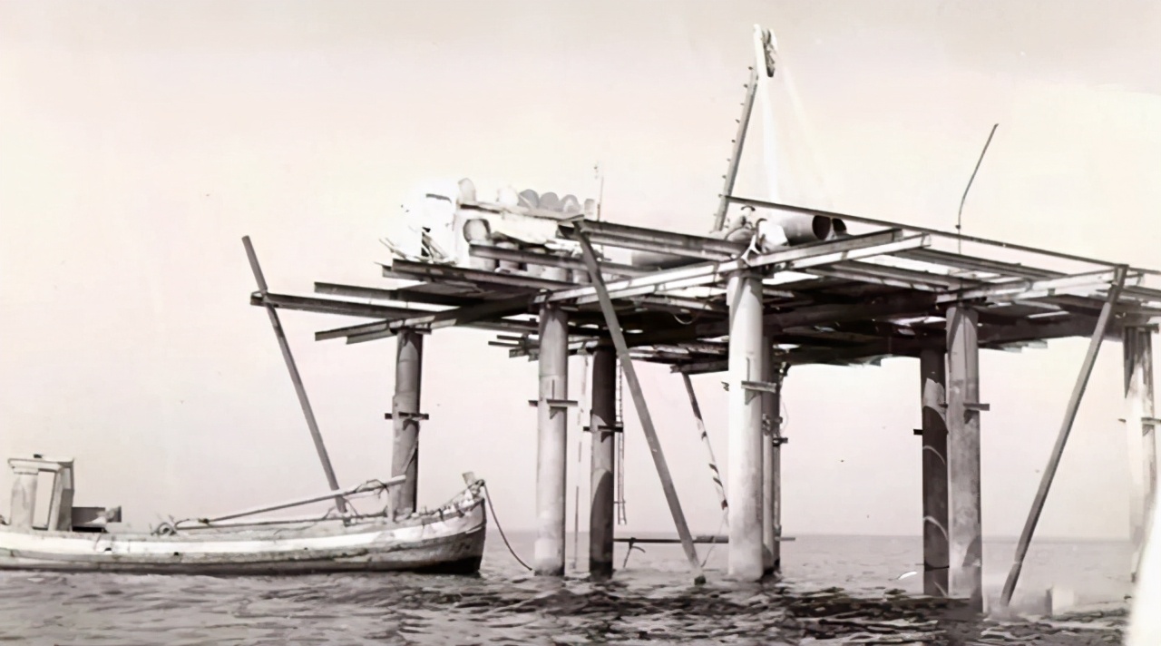 玫瑰岛的不可思议的历史哪看,玫瑰岛不可思议的历史免费观看