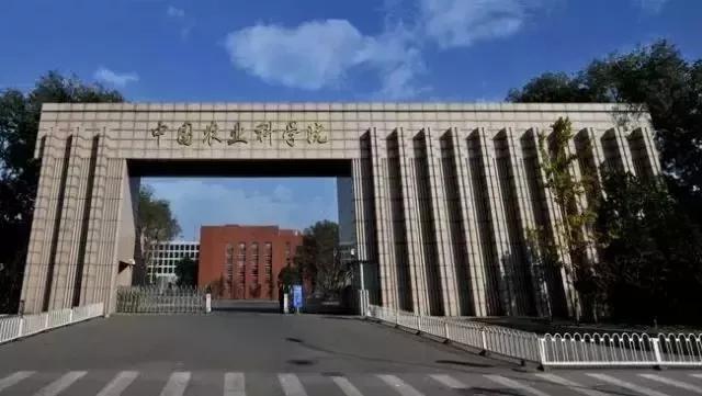 超临界蜂胶与普通蜂胶有几大优点,纯天然蜂胶的作用与功效