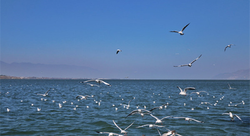 冬天一定要来一次泸沽湖,冬天一定要去一次大理