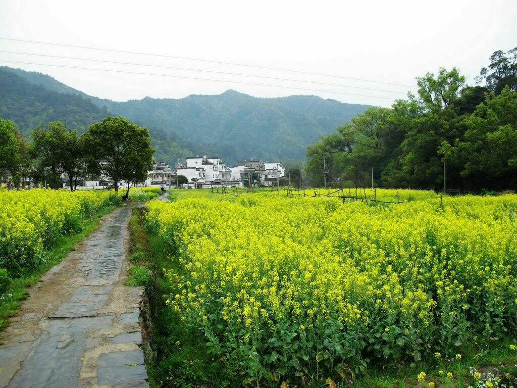 婺源哪个景点有玻璃桥,婺源景点排名一览表