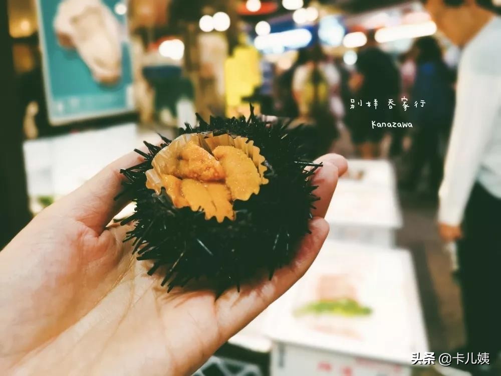 金泽作品,日本金泽最值得去吗