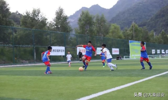 盛夏绿茵赛场挥汗如雨甘泉足球小将载誉归来