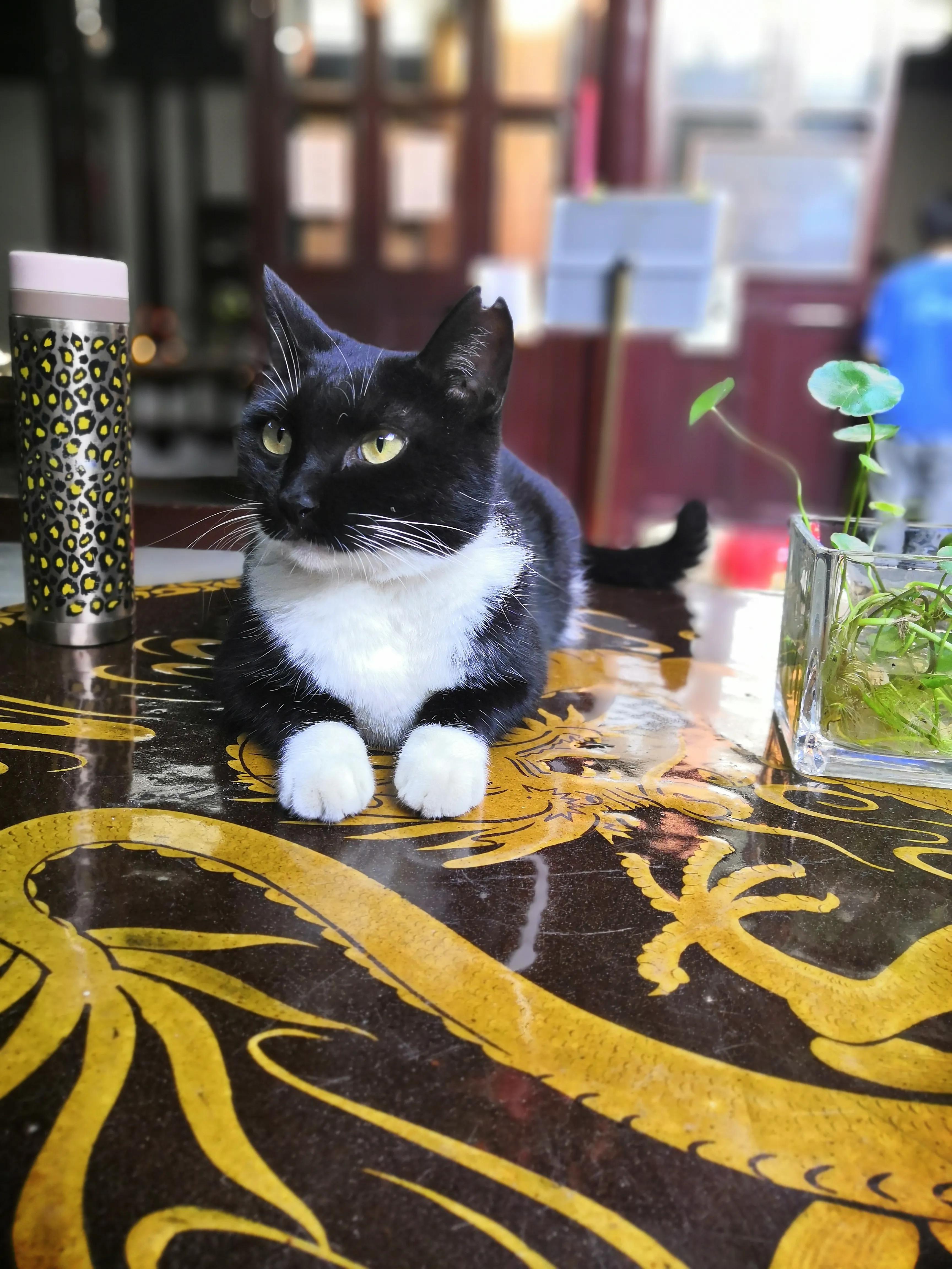 苏州西园寺值得一去吗,苏州西园寺旅游攻略