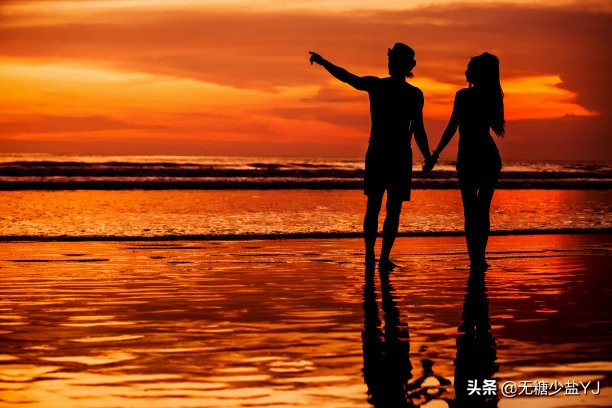 白色橄榄树最后为什么分道扬镳,白色橄榄树主人公简介