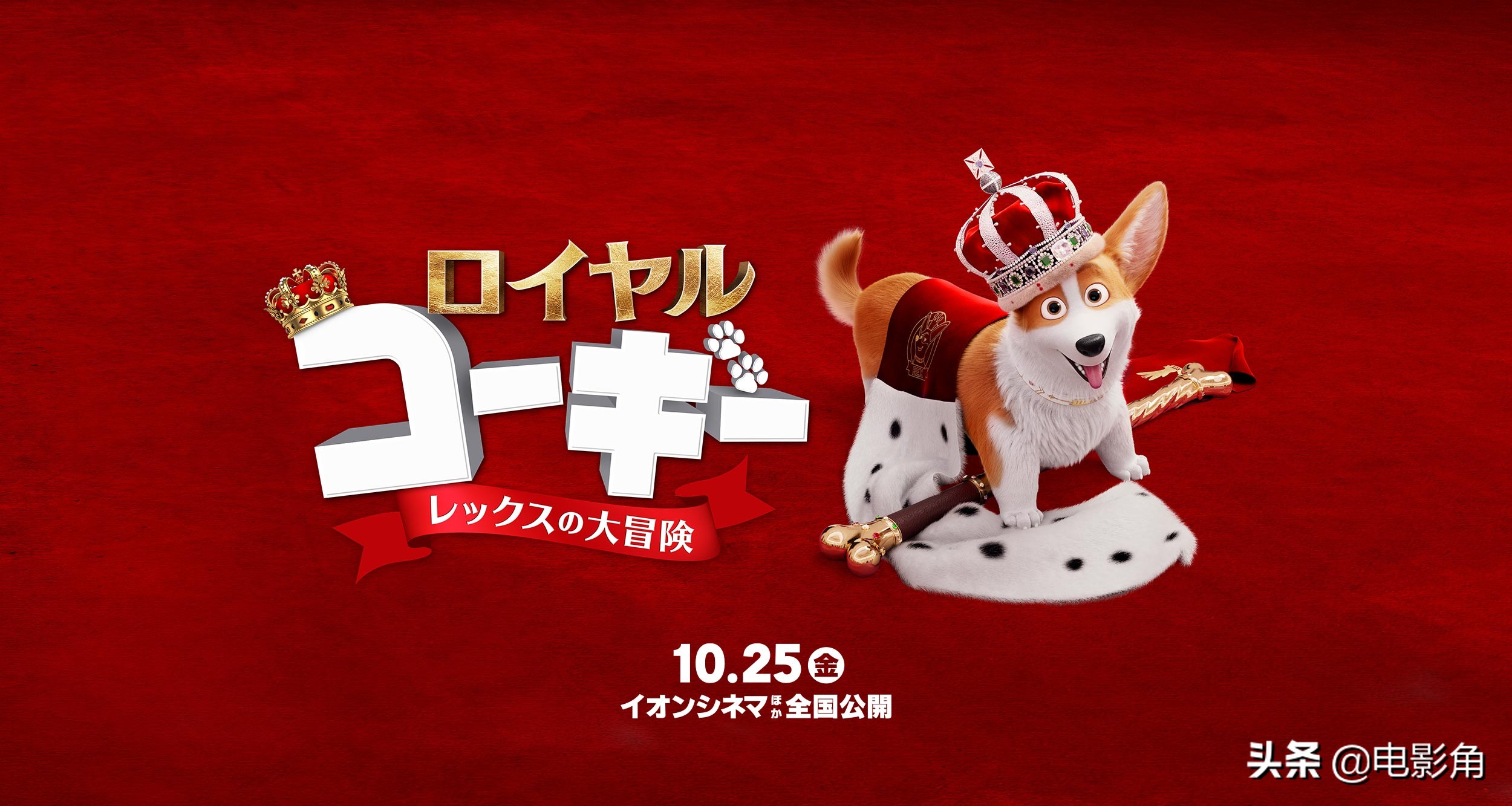 爱宠大机密和女王的柯基,爱宠大机密柯基爬楼