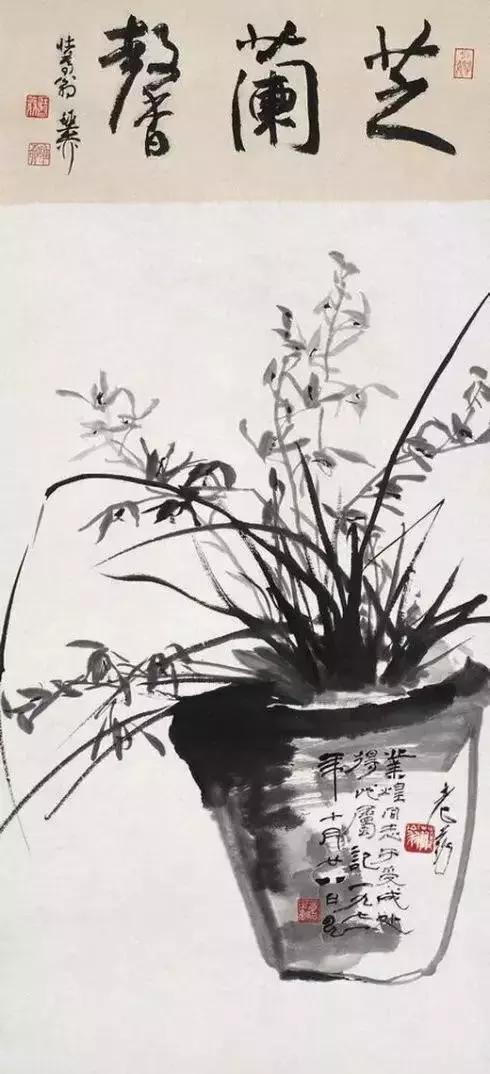 如何画兰花最好看的,君子兰花如何画