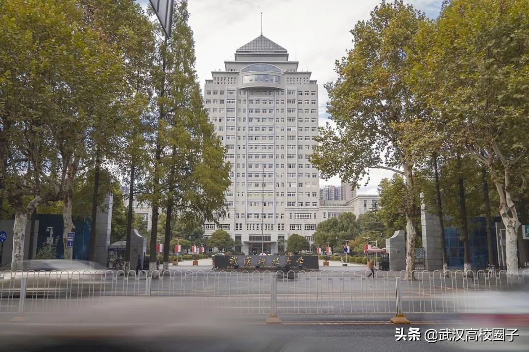 爸妈我想回家视频,爸妈我想回家了原视频