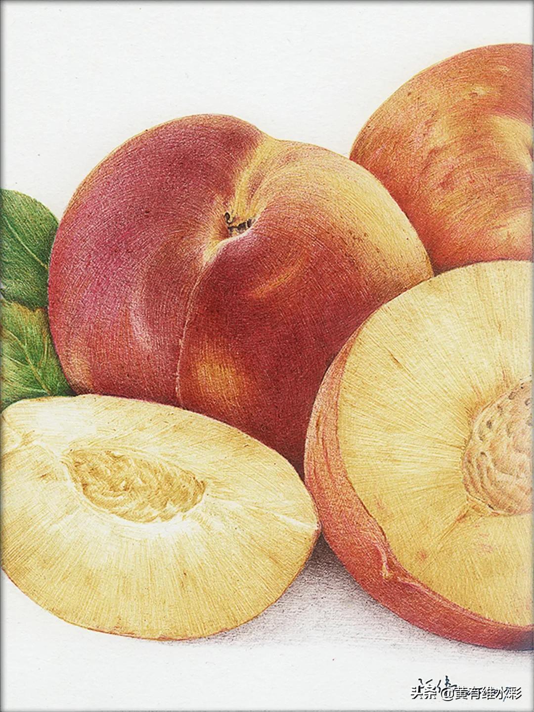 一个理工男的避坑指南,水彩入坑第一天