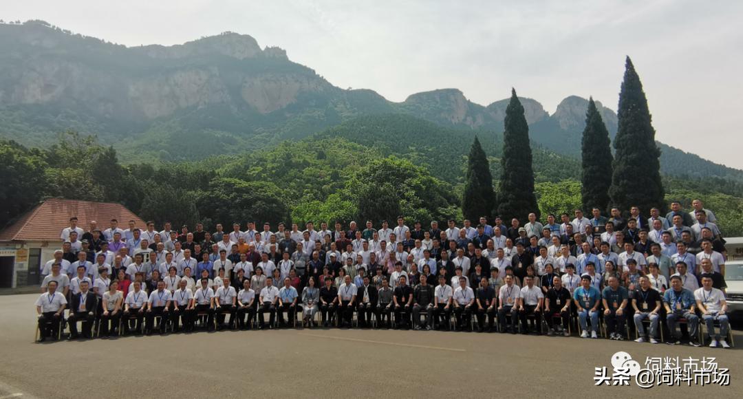 山东活力集团青岛,活力集团新品发布会