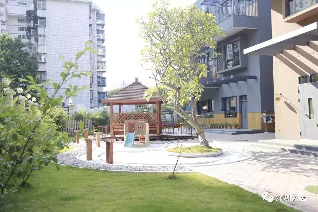 深圳top10幼儿园,深圳幼儿园排行榜前十名公办