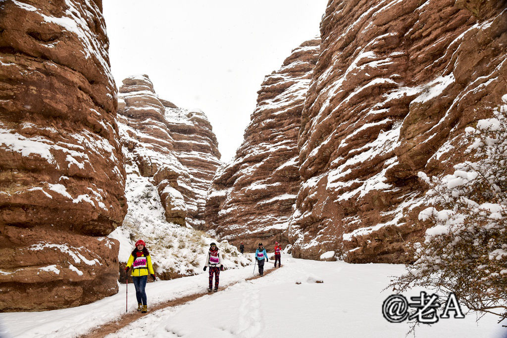 朋友们来张掖吧原视频,朋友来张掖吧