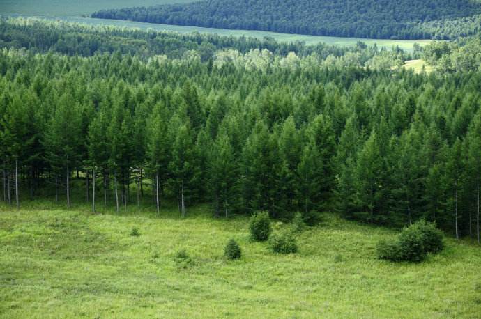 七月份去坝上,7月份去坝上会下雨吗