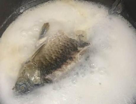 鲫鱼汤浓稠鲜香的秘诀,鲫鱼汤怎么煎鱼皮不破