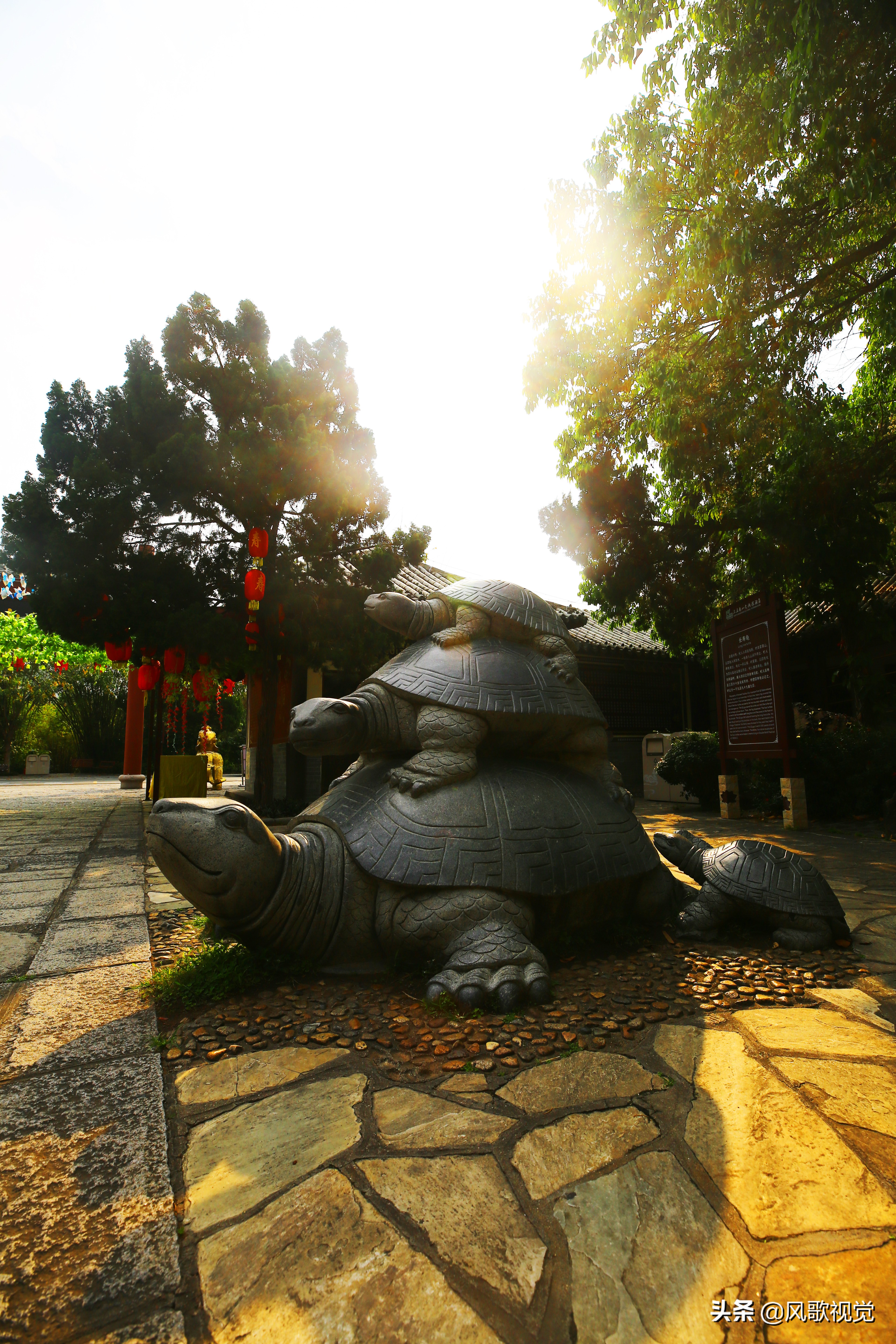 南山是属于哪个山,三亚南山是山吗