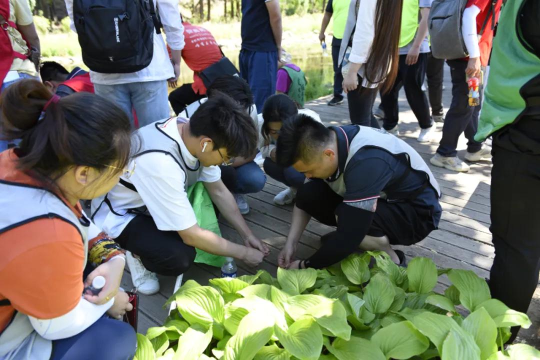 凌阳科技有限公司,凌阳科技单片机