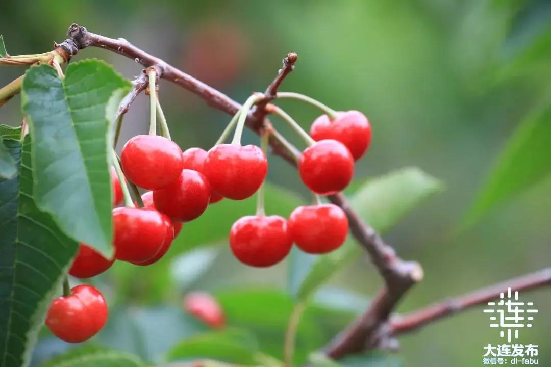 周末去哪玩周边游推荐一个好地方,周边游假期旅游攻略