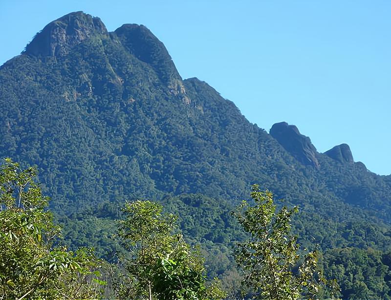 百战老兵有哪些,百战老兵有多厉害