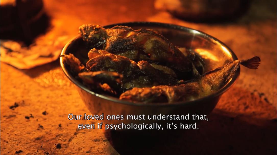 66岁渔民打鱼,60岁渔民捕鱼