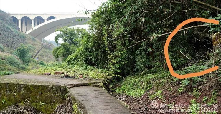 北碚复兴镇最近的视频,重庆市北碚龙门桥