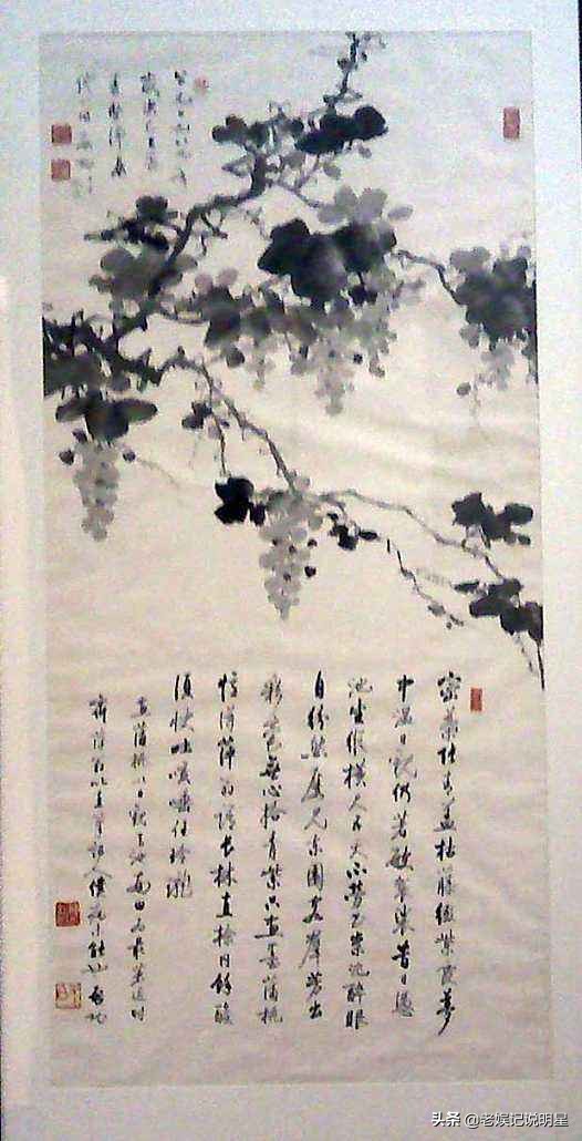 启功自述生平视频,启功晚年照片大全