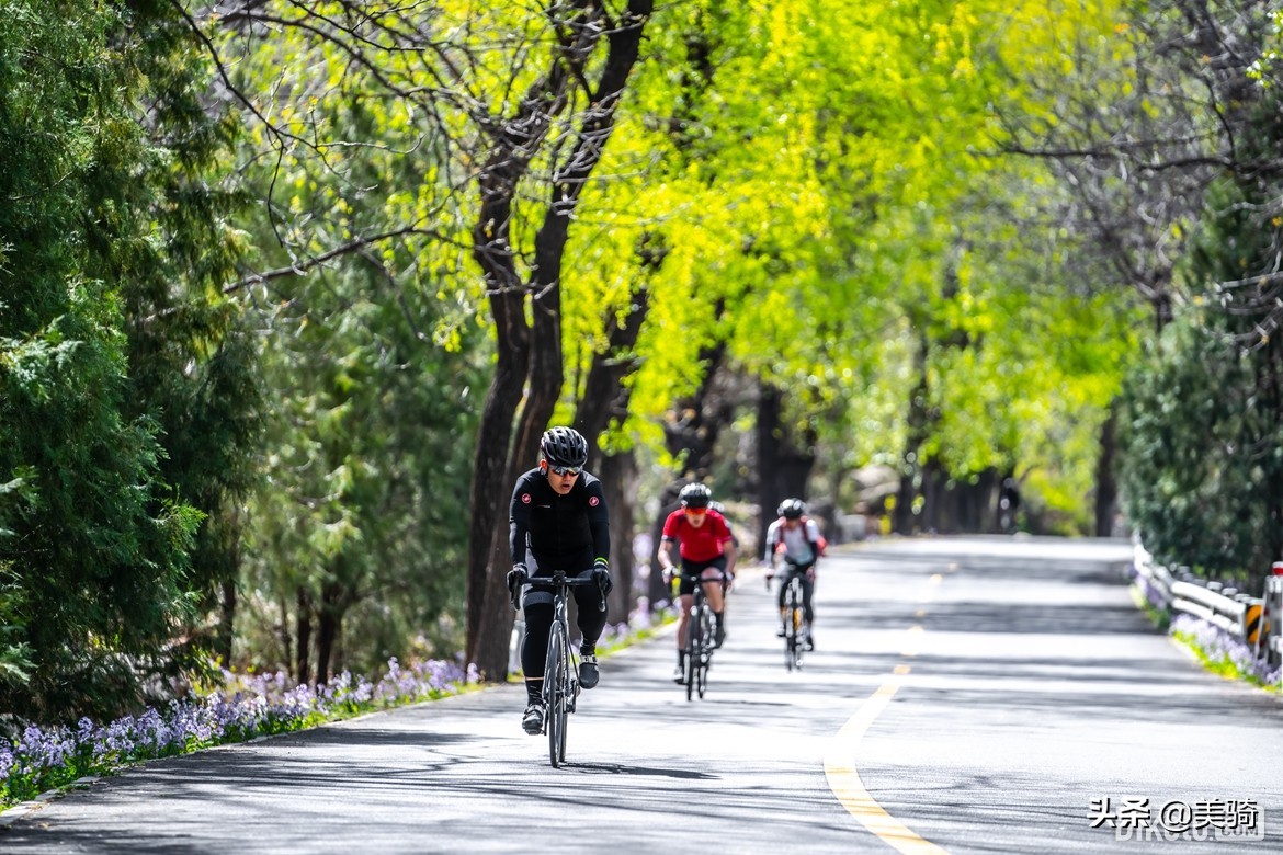 rivalaxs多少钱,rivalaxs变速器