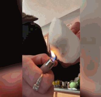 阿甘正传讲述了美国历史哪个阶段,阿甘正传展现了怎样的美国精神