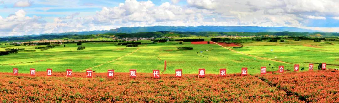 署名文章丨夏明:抢抓机遇真抓实干在建设“三个示范区”上作出泸西贡献