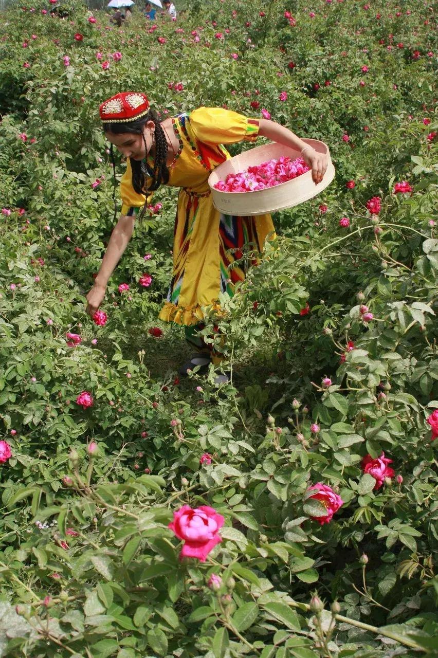 新疆的天堂在哪,新疆人间天堂在哪