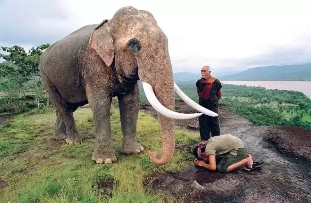 托尼贾金星初露锋芒,托尼贾金星完整视频