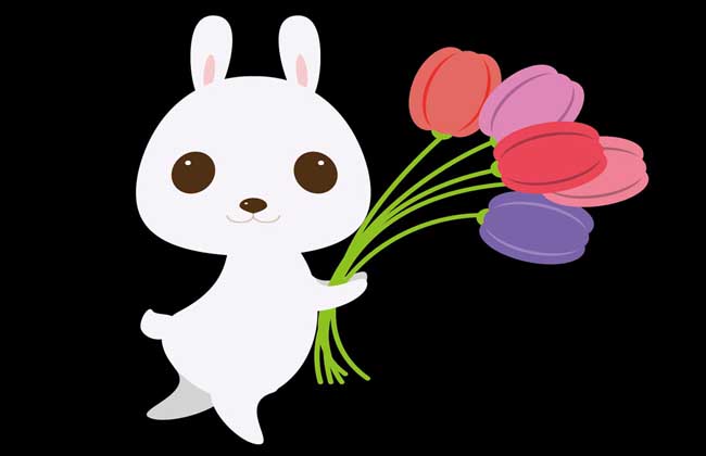 十二生肖婚姻配对成语,民间十二生肖婚姻配对