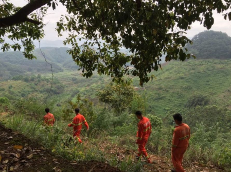 文明祭祀防山火共护绿水青山,清明节文明祭祀预防火灾工作简报