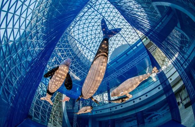 上海旅游有哪些好玩的地方推荐,上海最值得玩的地方有哪些