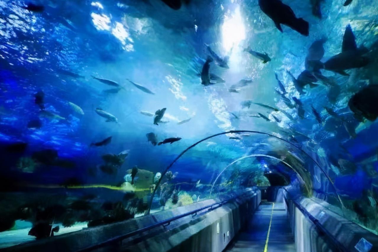 大连有海的城市确实比较浪漫一点,向往的海滨城市大连浪漫之旅