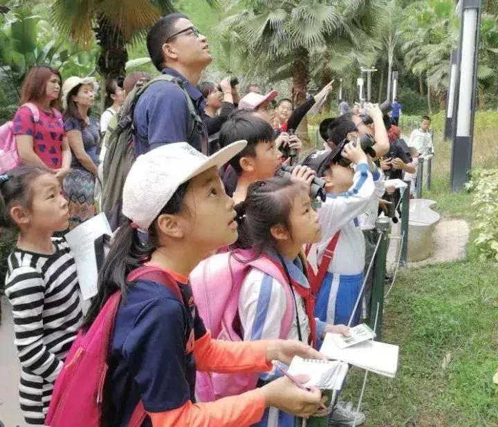 凤凰学校招生简章,凤凰学校招生公告