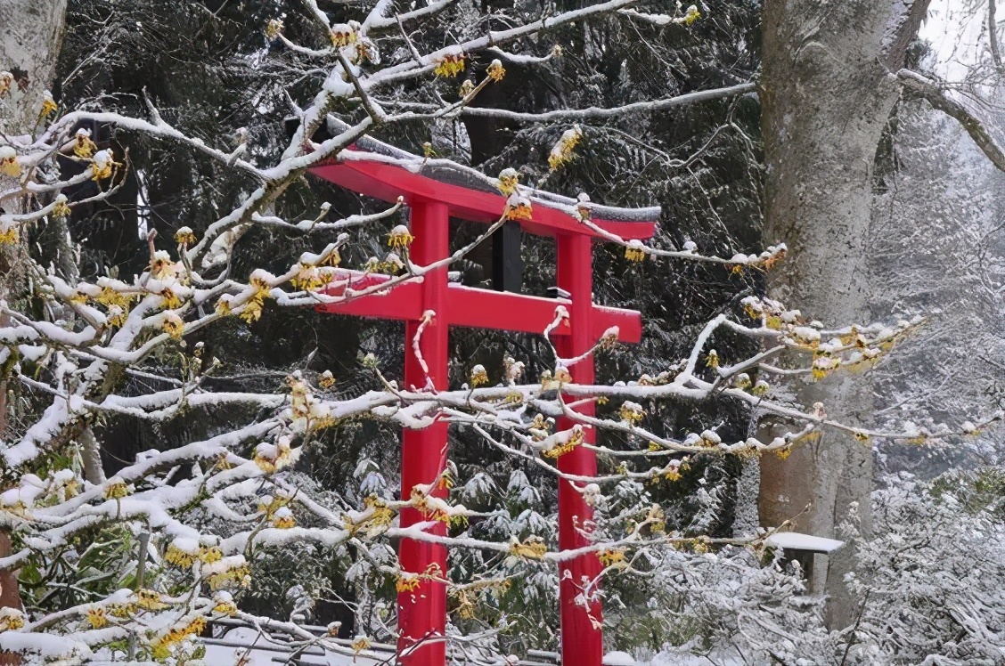 布查德花园的秋冬季,全球最美花园布查特花园