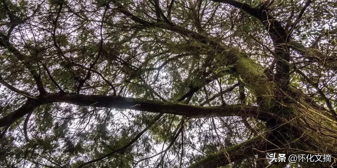 千年古苗寨老家寨全景,贵州千户苗寨农户家