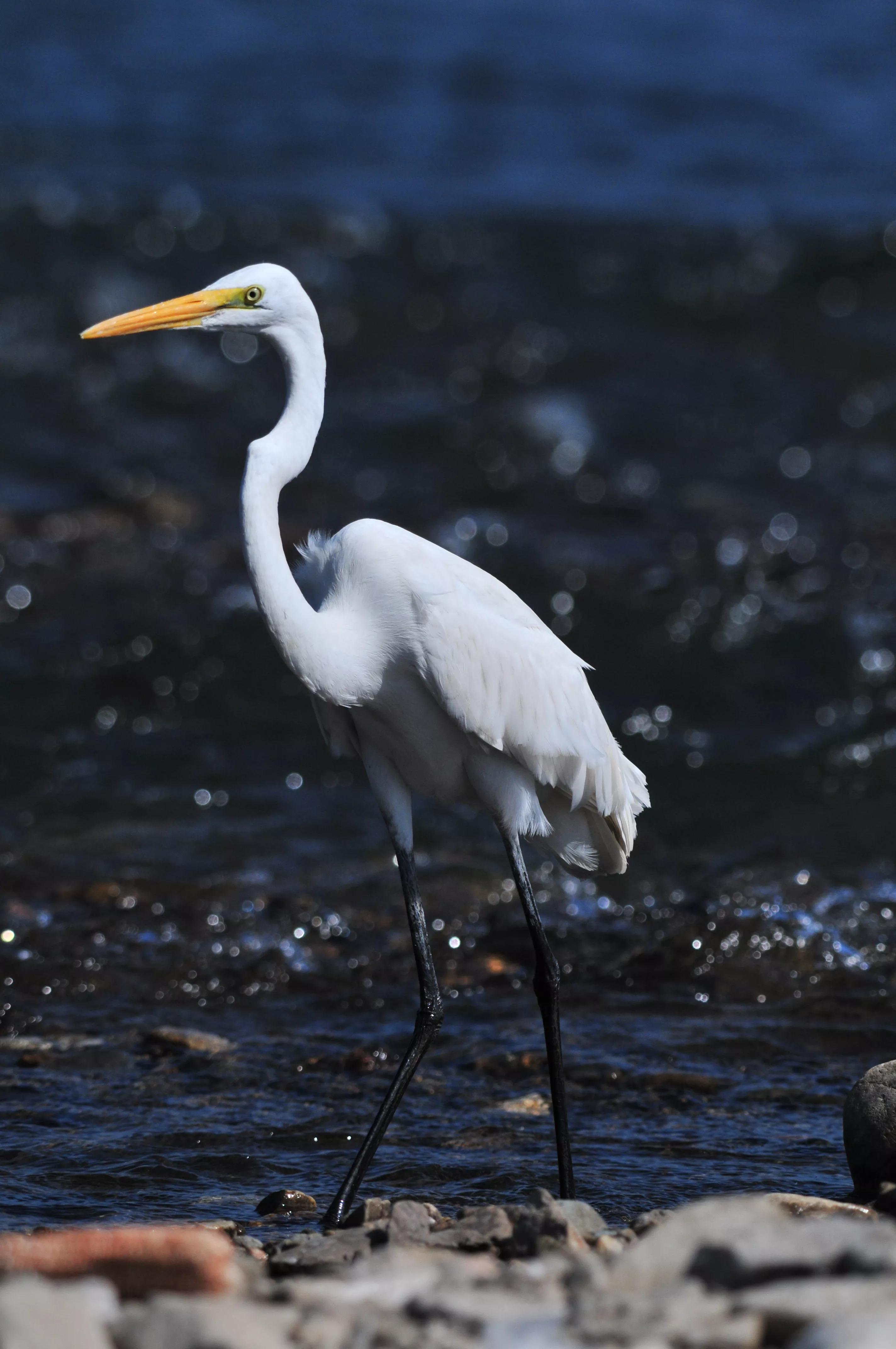 镜头装增距镜光圈会变化吗,镜头加增距镜后虚化效果会变好吗