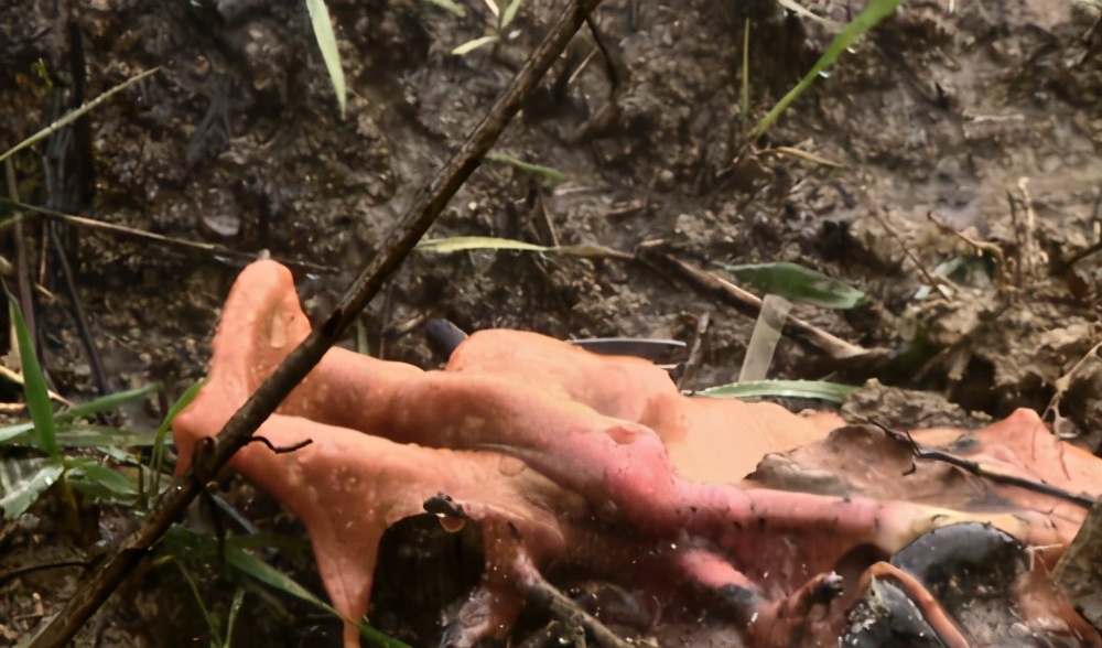 人类凭空消失去哪了,2027年人类会不会消失