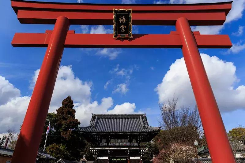 现实中的酒神,三大酒神真实的存在吗