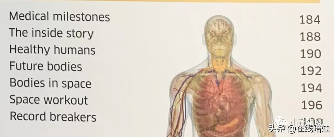 dk知识大百科全套,dk知识大百科书金银版