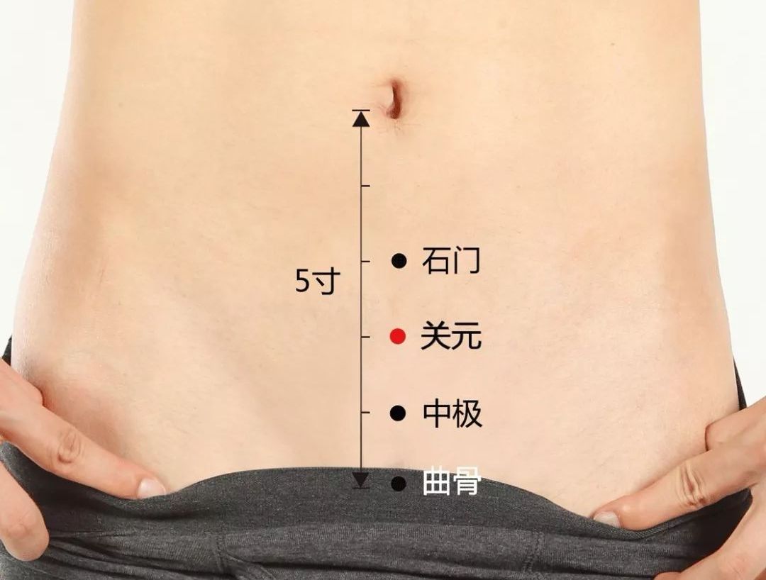 小寒要努力生活,小寒要干什么